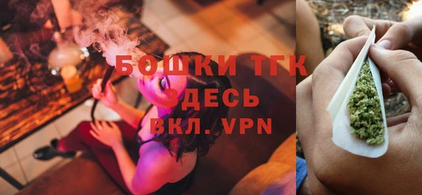 индика Бугульма