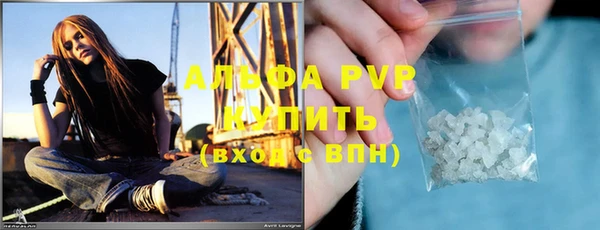 индика Бугульма