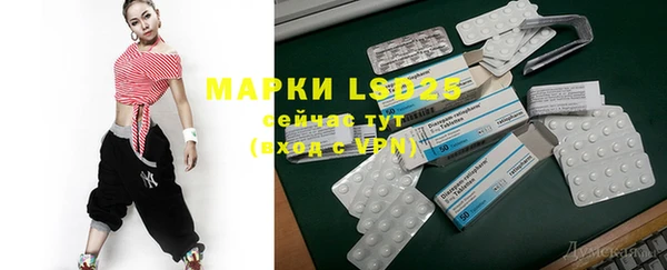 индика Бронницы