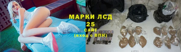 индика Бронницы