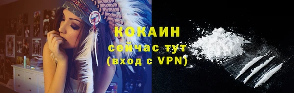 индика Бугульма