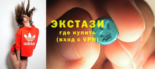 индика Бугульма