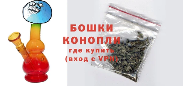 индика Бронницы