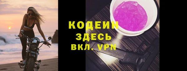 индика Бронницы
