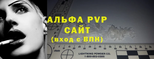 индика Бронницы