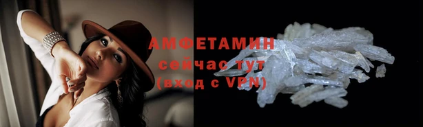 индика Бронницы
