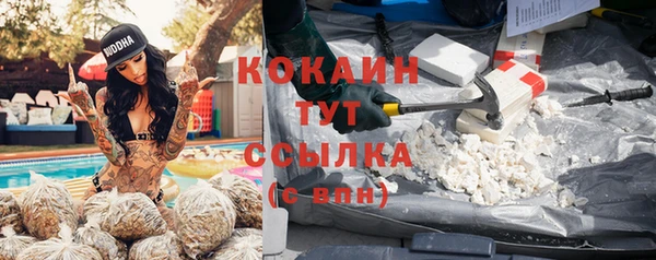 индика Бугульма