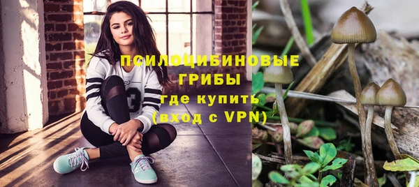 первитин Бородино