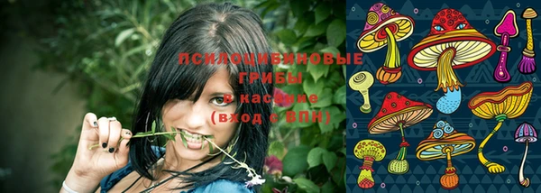 индика Бугульма