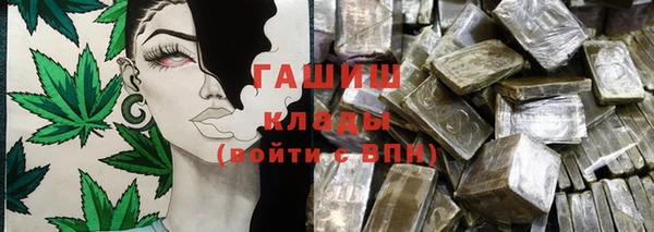 индика Бугульма