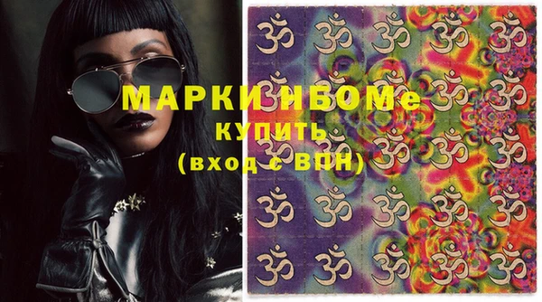 индика Бронницы