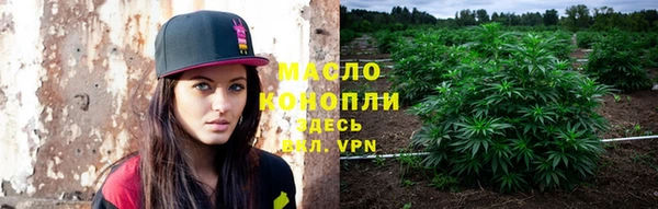 индика Бронницы