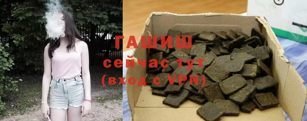 индика Бугульма