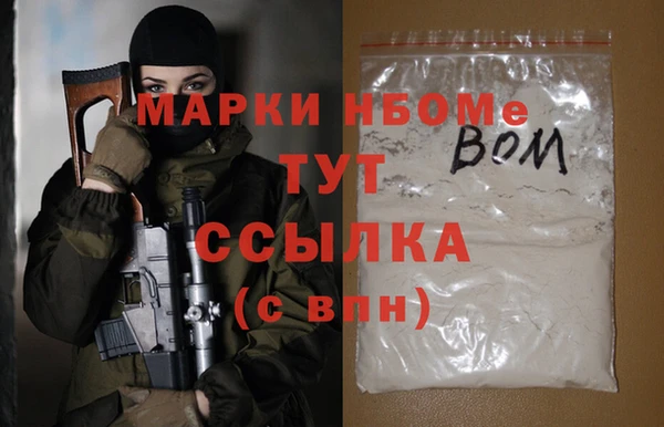 индика Бронницы