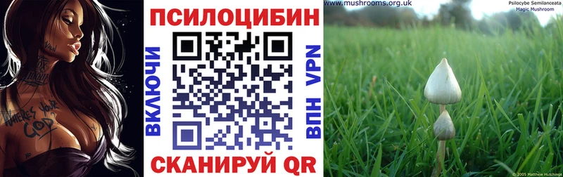 Галлюциногенные грибы Psilocybine cubensis  Купить  Оленегорск 